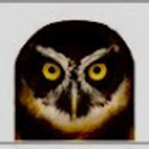 Meet your Posher, Rita